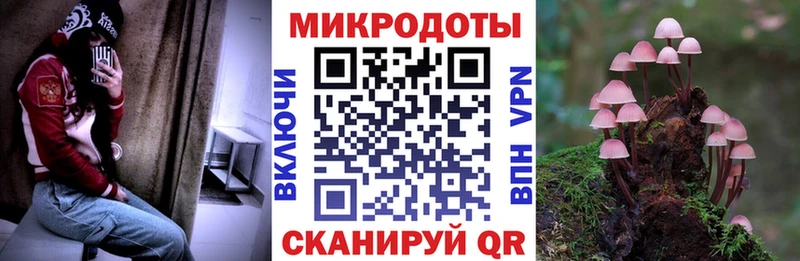 Псилоцибиновые грибы прущие грибы  сколько стоит  Сочи 